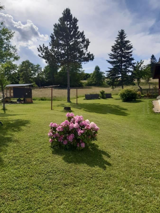 Ferienwohnung Johanna Sankt Georgen im Gailtal Buitenkant foto