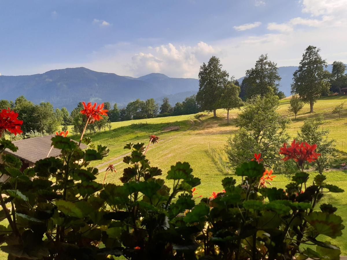 Ferienwohnung Johanna Sankt Georgen im Gailtal Buitenkant foto