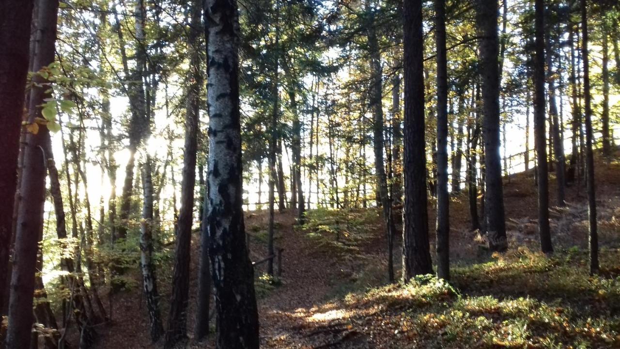 Ferienwohnung Johanna Sankt Georgen im Gailtal Buitenkant foto